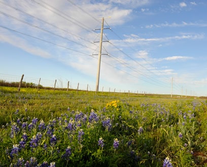 Company environmental stewardship Company environmental stewardship