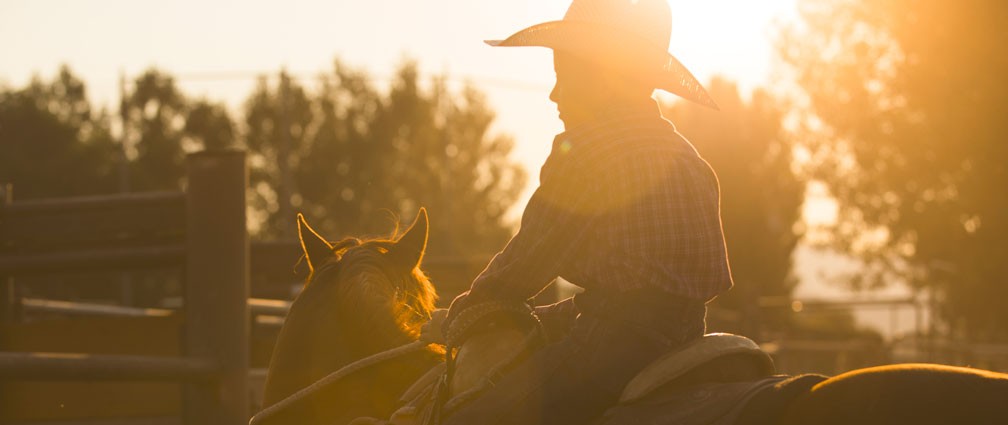 boy riding a horse